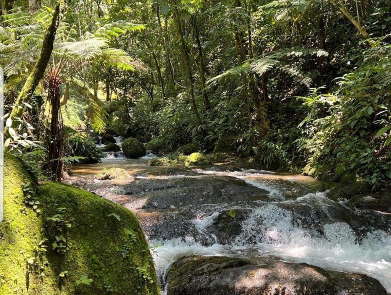Pousada Caminhos De Gaia São Francisco Xavier Extérieur photo