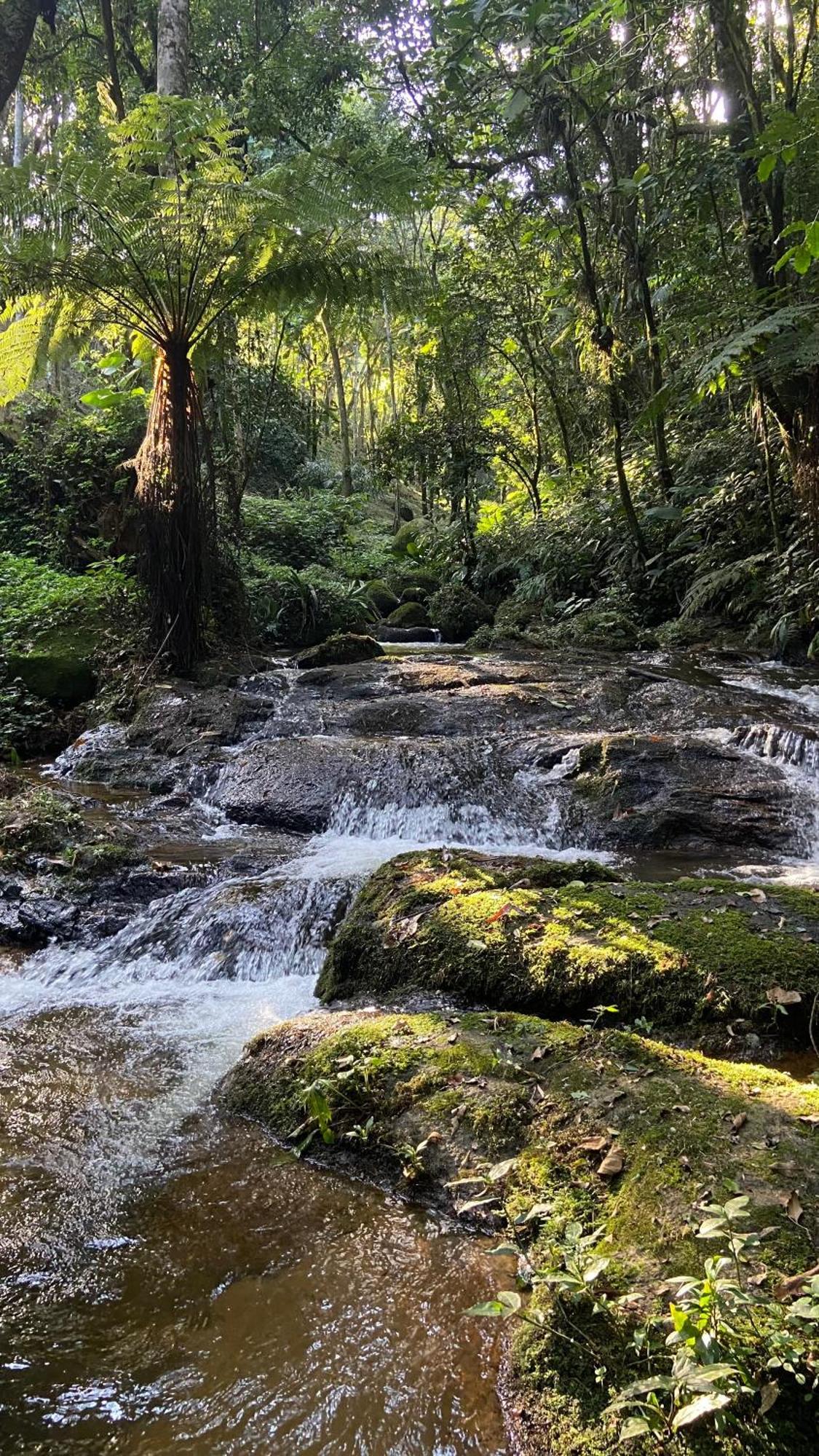 Pousada Caminhos De Gaia São Francisco Xavier Extérieur photo
